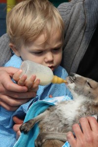 Children welcome cuddly friends