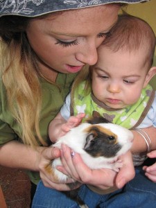 Animal cuddle up to nurture children