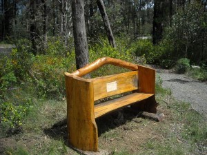 Bench safe ‘n sound