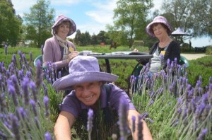 Farm reaps bunches of dosh