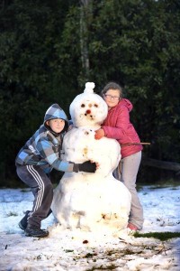 Snow season’s here