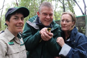 Wild release ‘wow’ factor