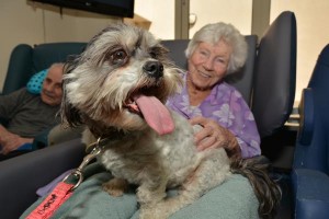 Up close with pets