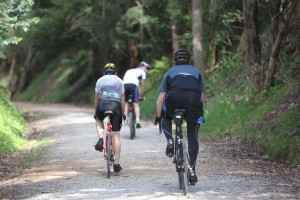 Call for calm on cyclists