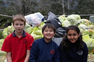 Clean up out into the world