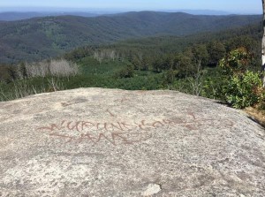 Graffiti attack spoils view