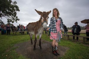 Every donkey has its day