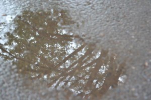 Rain patchy, catchments solid
