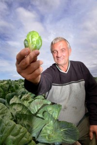 Something to sprout about