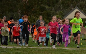 Big fields for cross country