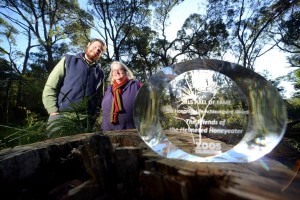 Silver marked with life award