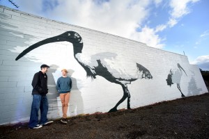 Birds grace iconic wall