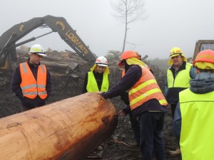 Good rap for timber industry