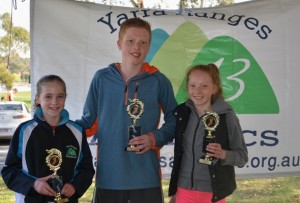Cross country season ends on high