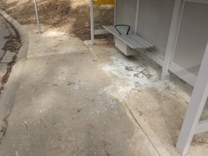 Vandals drawn to breaking glass
