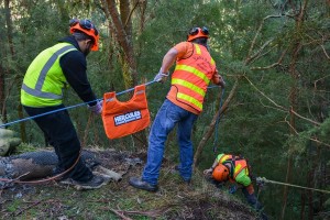 Steep price of dumping