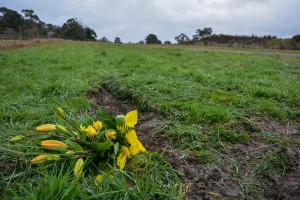 Teen faces multiple charges from Yarra Glen fatality