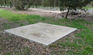 Park theft a ‘low act’