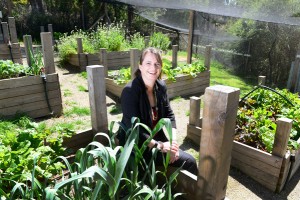 ‘Edible forest’ a green winner