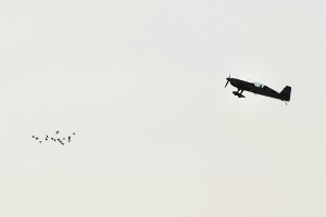 Up, up and away at Lilydale