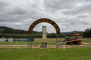Vandals’ rowdy night at racetrack