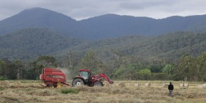 Be wary of haystack fires