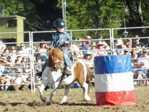 Rodeo draws huge crowd