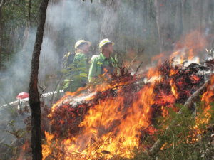 Planned burns ahead of winter