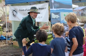 Best ever Ecotopia Festival