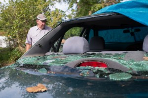 Resident sees red over branch-fall cost