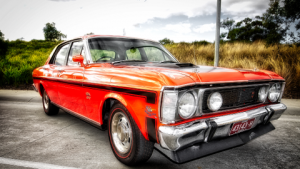 Visitors may have snapped rare car thief