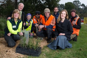 Plants bring Grace to creek
