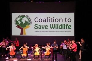 Working in concert for wildlife