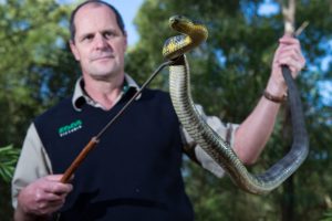 Give snakes a ‘wide berth’