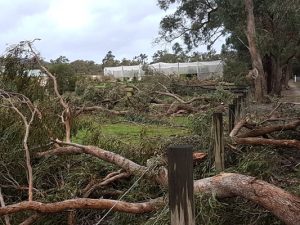 Thousands of homes without power