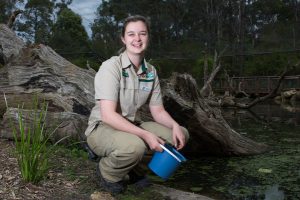 Wildlife at home in new wetlands