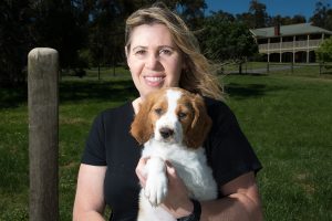 One-size puppy bill a poor fit