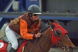 Fillies lead fashion stakes