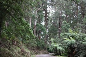 Road closure adds hour to travel times