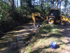 ‘Tyred’ of illegal dumping in forest