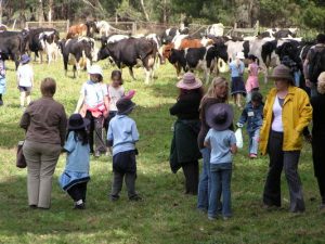 Call for farm, not bush