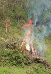 Murrindindi Shire’s fire amnesty period