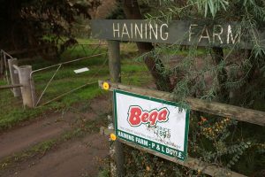 Options for Haining Farm