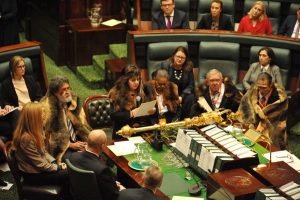 Elder Alice in history-making parliamentary address