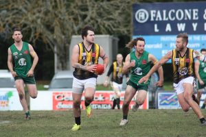 Wandin perched on top