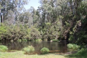 A river runs through it