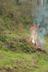 Burn can be costly