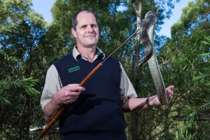 Q&A with Healesville Sanctuary reptile keeper Michael Taylor