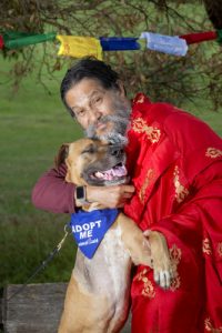 Blessings for all animals