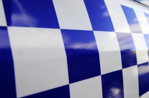 Appeal for witnesses to fatal crash
